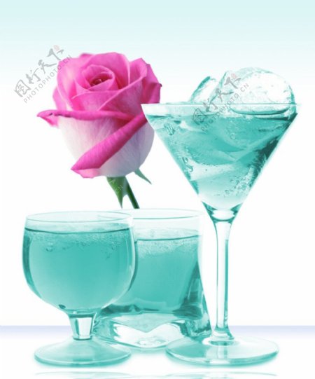 玫瑰与酒杯图片