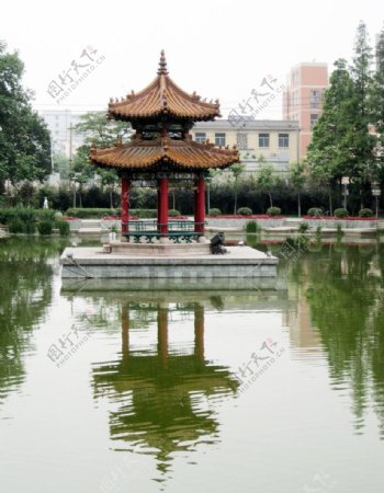 济宁公园水上凉亭图片