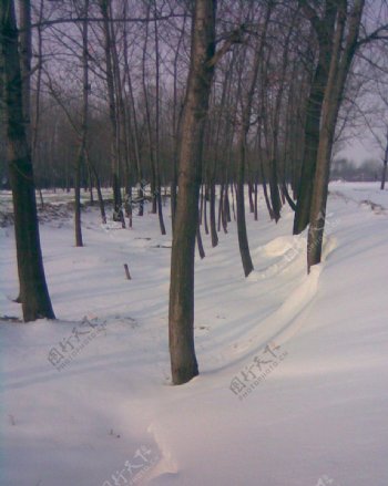 雪景图片