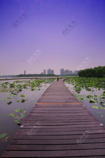 张家港澄阳湖图片