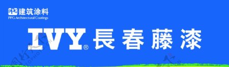 IVY长春藤漆广告logo图片