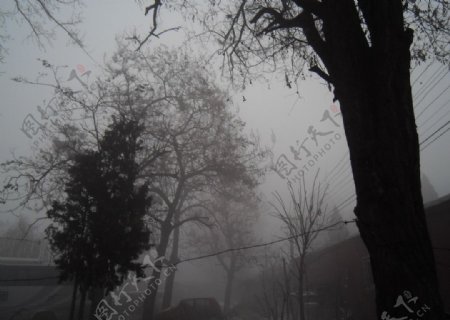 晨雾图片