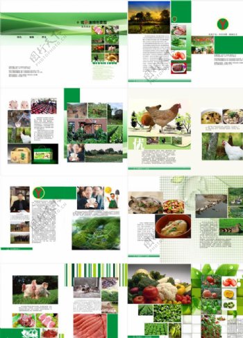 农产品宣传册图片