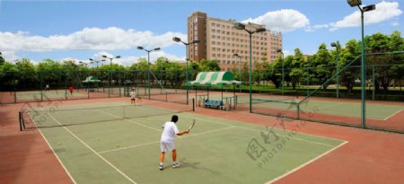公园网球场图片