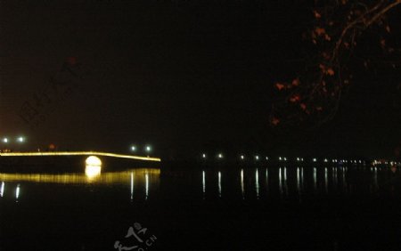 夜西湖图片