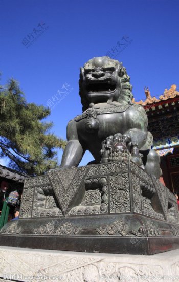 北京颐和园狮子图片