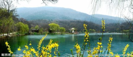 南京紫霞湖风光图片