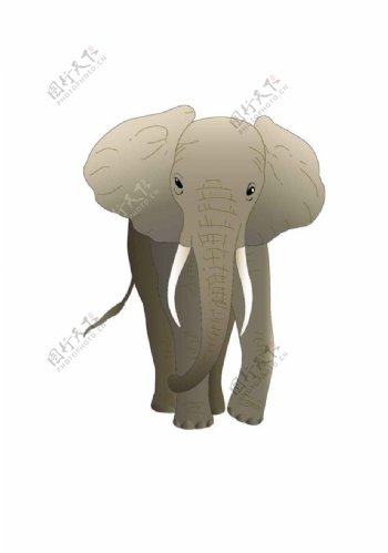 大象矢量图动物世界可爱图片