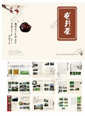 龙井茶画册图片