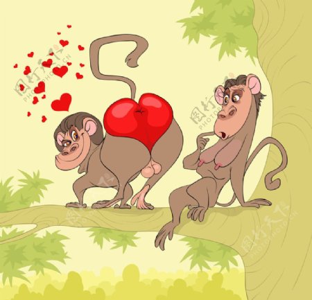 卡通猴子图片