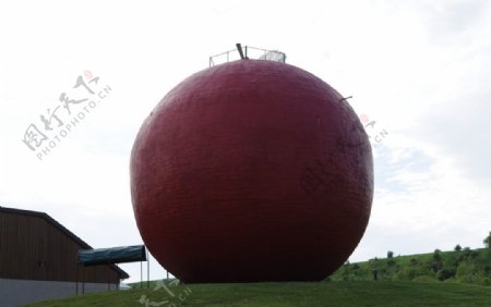 世上最大蘋果擺設图片