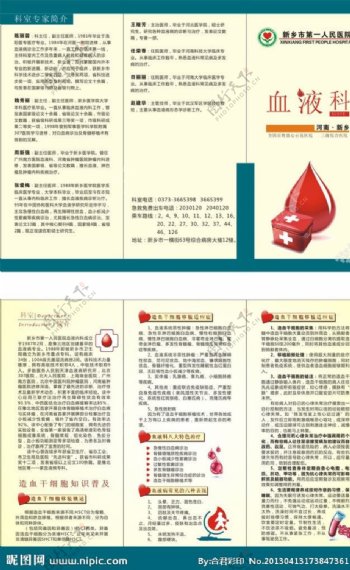 医院血液科三折页图片