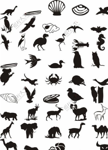 动物世界剪影黑白图片