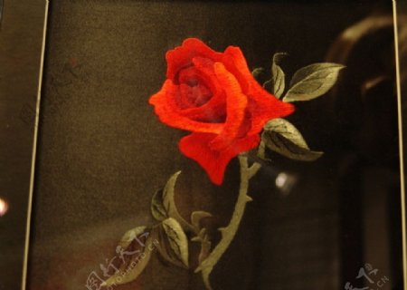 刺绣玫瑰图片