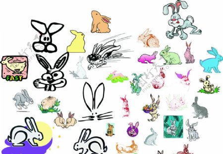 兔子卡通兔子图片