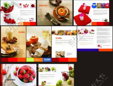 水果食品健康介绍画册图片