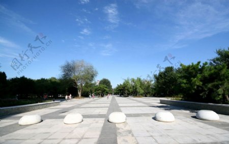 改造后的中山公园雕塑广场图片