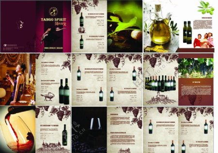阿根廷进口葡萄酒图片