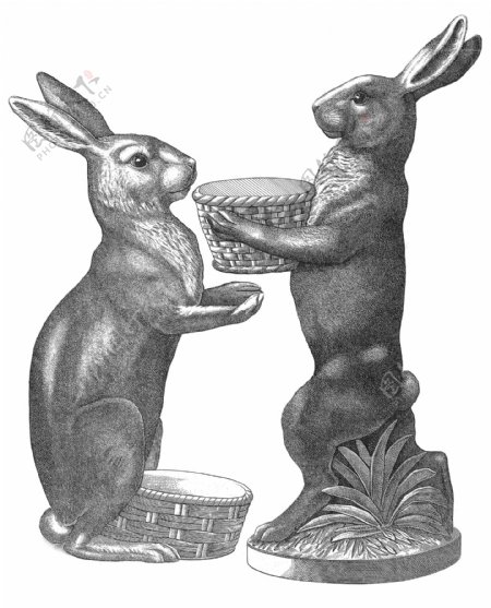 手绘兔子图片