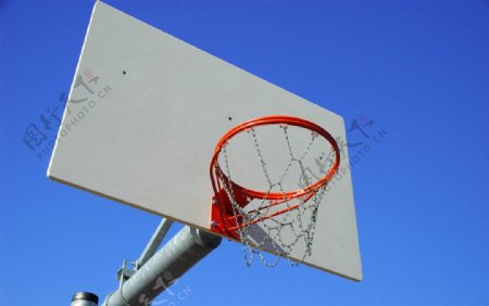 篮球篮网图片
