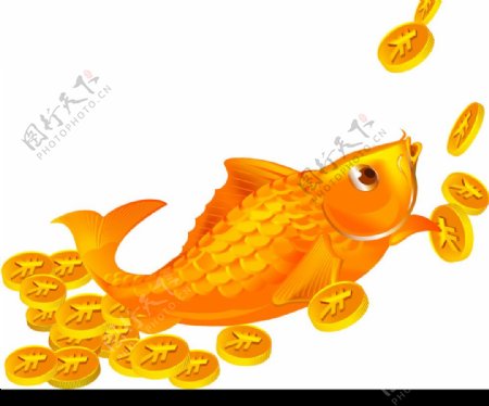 金色的鱼图片