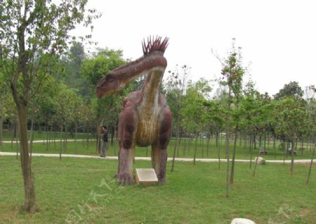 长颈恐龙图片