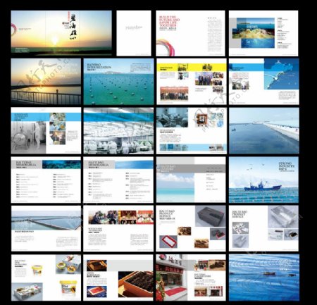 海洋产品画册图片