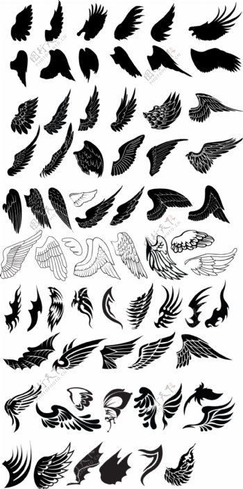 多种鸟类翅膀黑色PSD图片