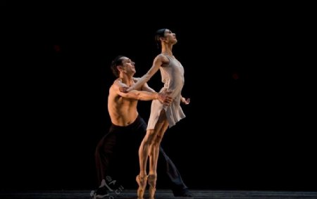 芭蕾舞蹈双人舞女男表演艺术演出舞台美人艺术家投入跳舞图片