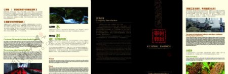 贵州宝洞产品信息画册图片