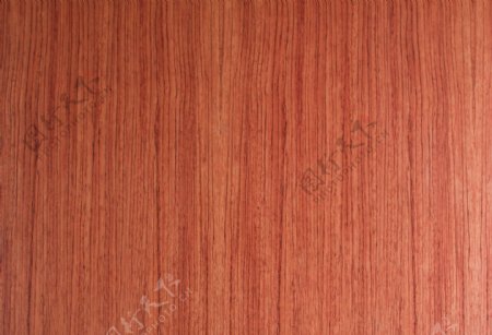 原木木材纹理摄影图片