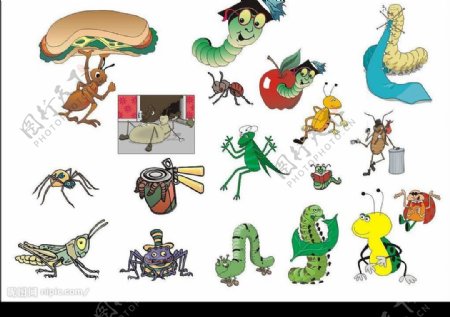 CorelDARW精选矢量图库动物昆虫卡通图片