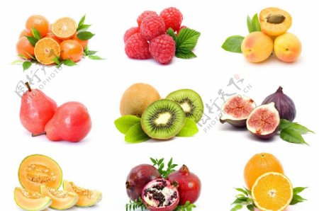 水果水果效果图图片