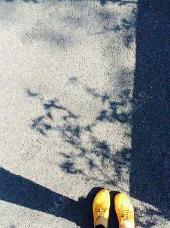 鞋与树影图片