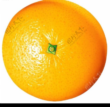 果脯橙子2图片