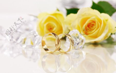 玫瑰结婚戒指图片