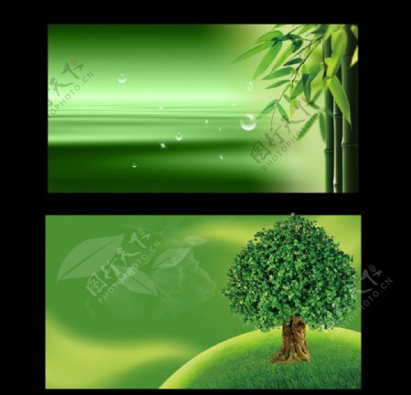 绿色竹子树木背景海报图片