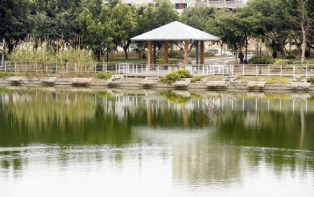 晋江世纪公园湖边亭子图片