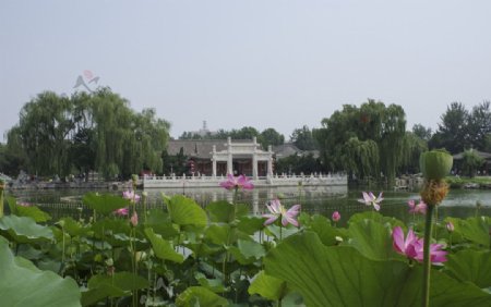 北京大观园图片