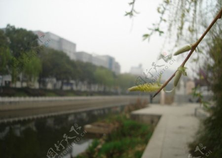 钟祥护城河风景图片