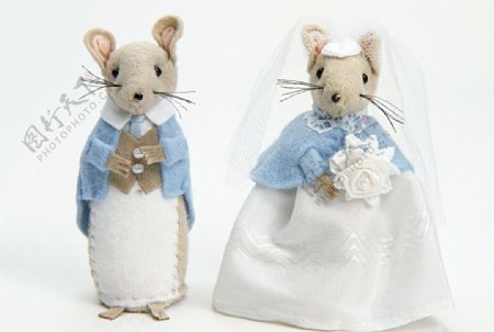 老鼠玩偶老鼠结婚图片