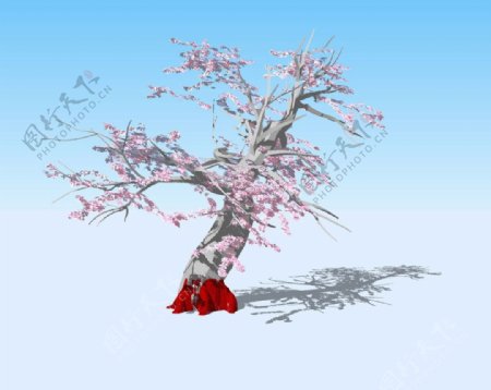 梅花树3D模型图片