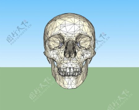 头骨3D模型图片