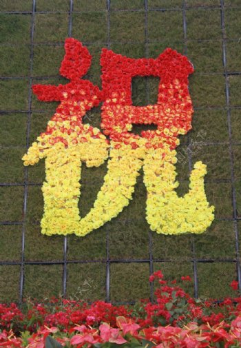 厦门经济建设30周年庆祝鲜花图片