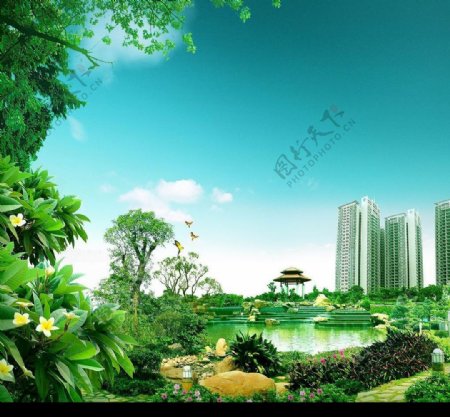 翠城花园图片