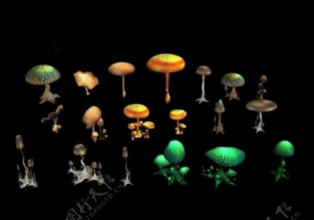 蘑菇max模型带obj格式图片