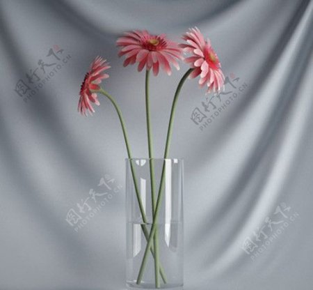 3D精美花瓶花朵模型图片