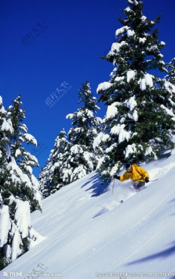 唯美滑雪图片