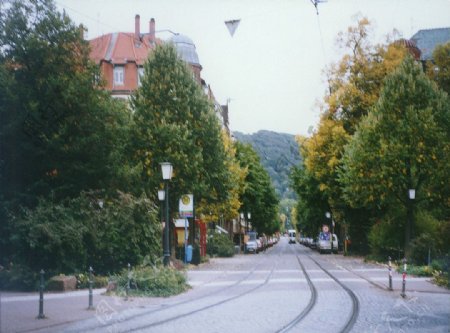 欧式林荫街道图片