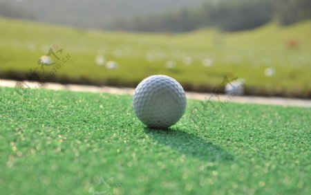 高尔夫球图片